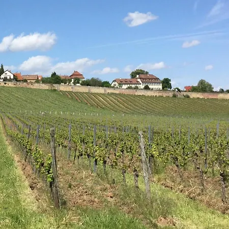 Zehn - An Der Deutschen Weinstrasse Apartment